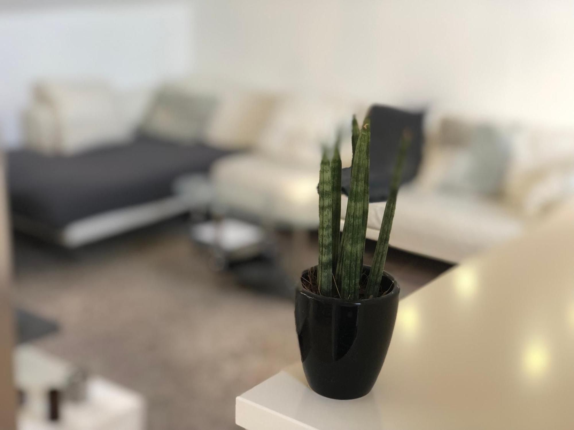 Caleva'S Bnb Pforzheim Kültér fotó